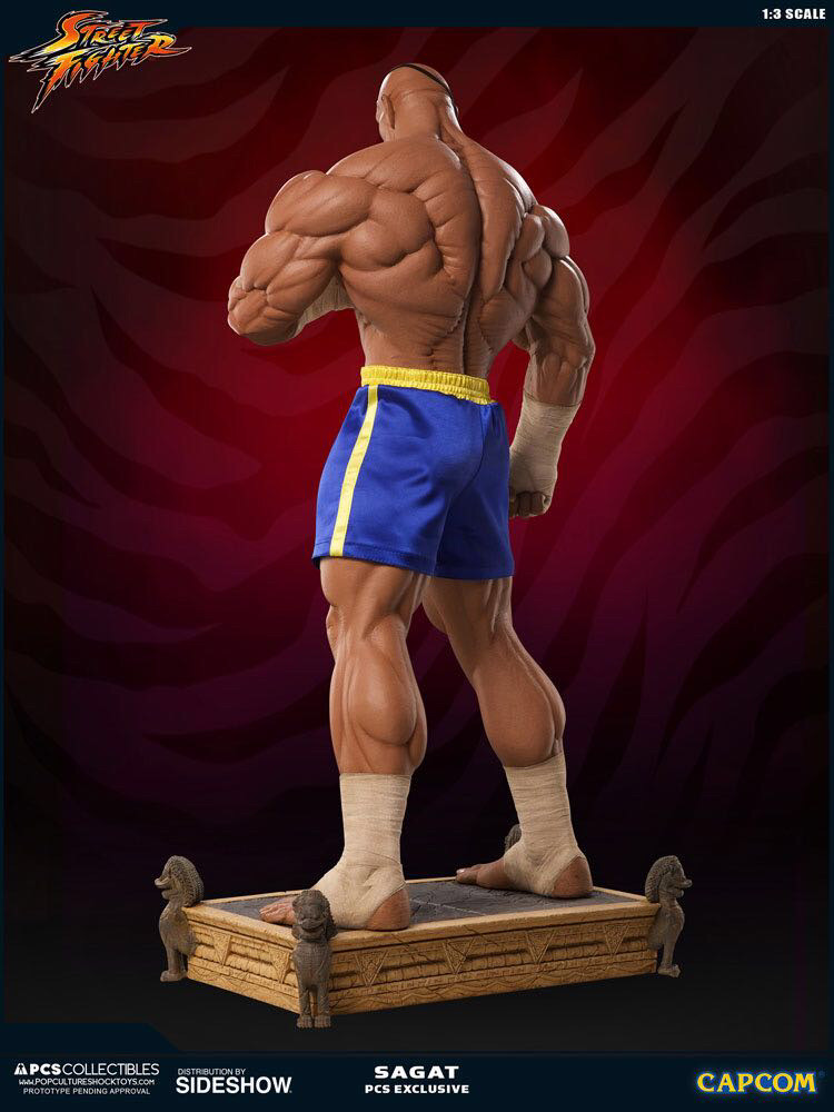 零元拍：Pop Culture Shock ：1/3《街头霸王》- Sagat/沙加特903243