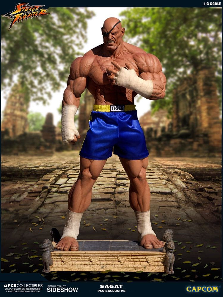 零元拍：Pop Culture Shock ：1/3《街头霸王》- Sagat/沙加特903243