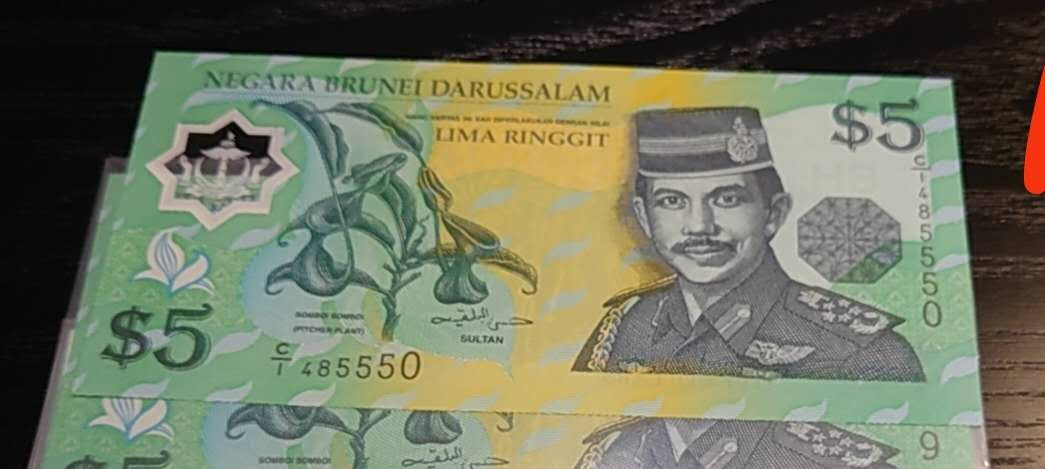 陆续更新~【囧羊收藏】精选微拍第15期~2021年第六期 世界精品纸币荟萃 1996年初版C1冠 文莱5林吉特 全新绝品