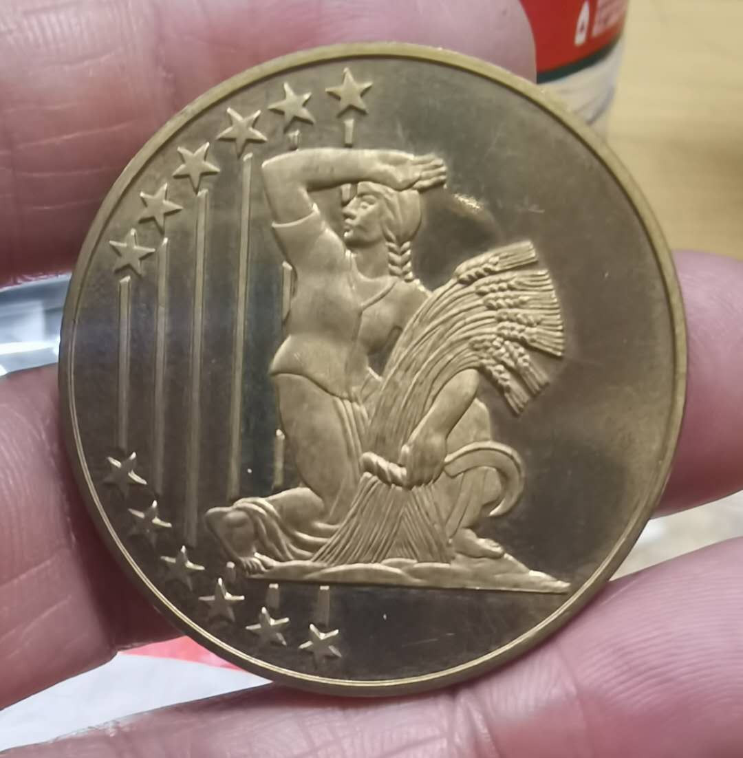 北京马甸外币专卖微拍第四十三期，外国纪念章专场，陆续上新，欢迎光临 2004年纪念铜章，直径：40mm，重量：27克。品相如图，