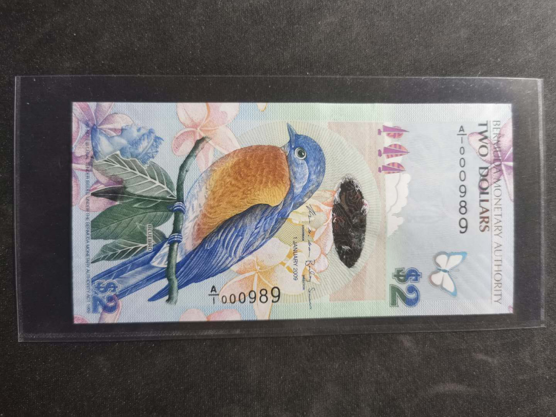 【鲸贝乐淘】千字文·第“宣威沙漠，驰誉丹青”号拍卖 【百慕大】2019年2元塑料钞，A/1首发冠，989百位号稀有，全新全品UNC 