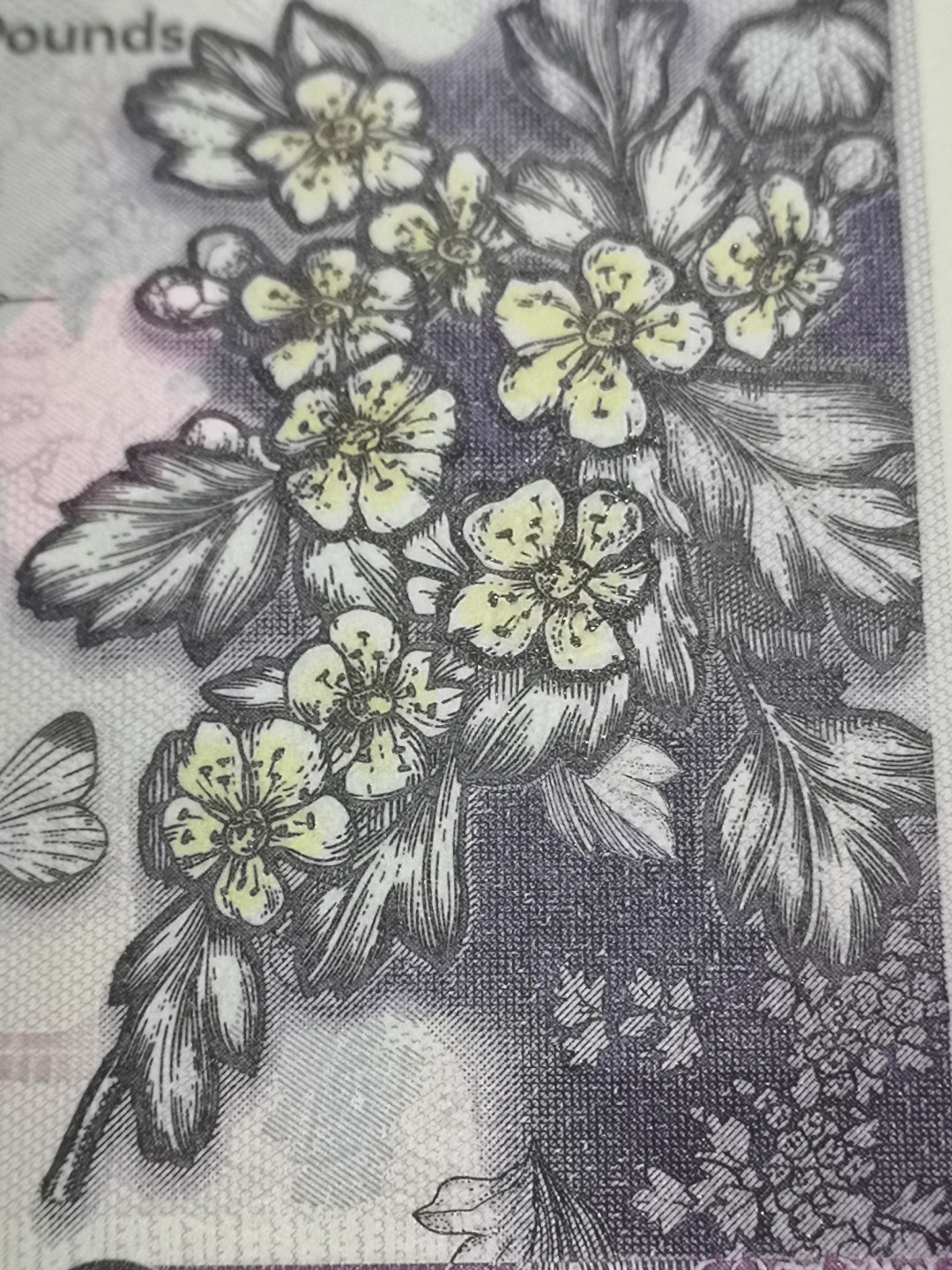 《外钞收藏家》第一百零二期拍卖 2020年北爱尔兰 阿尔斯特银行20镑 全新UNC