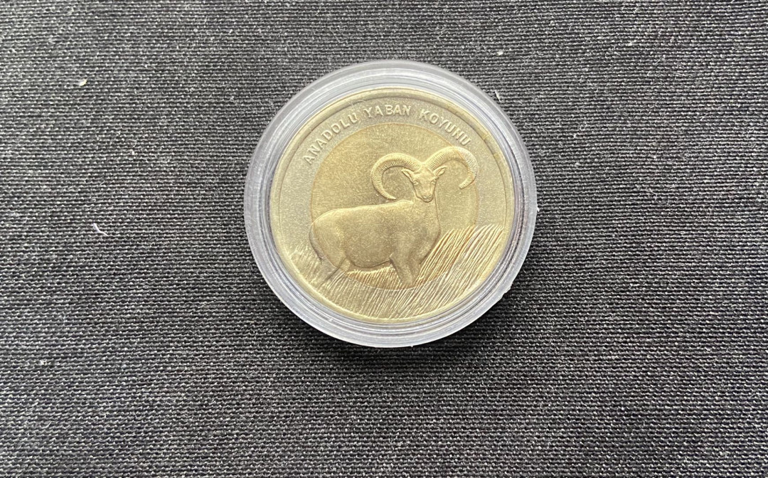 【币观天下】第138场钱币拍卖 【土耳其】1里拉双色动物纪念币-羊