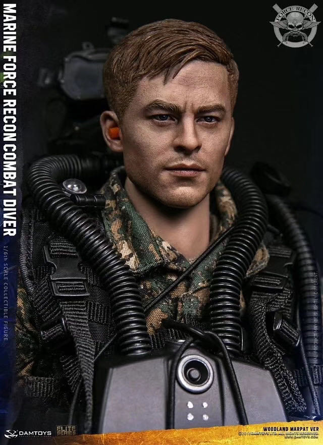 零元拍：DAMTOYS 78055 USMC 美国陆战队 武力侦察 Force Recon 战斗潜水员
