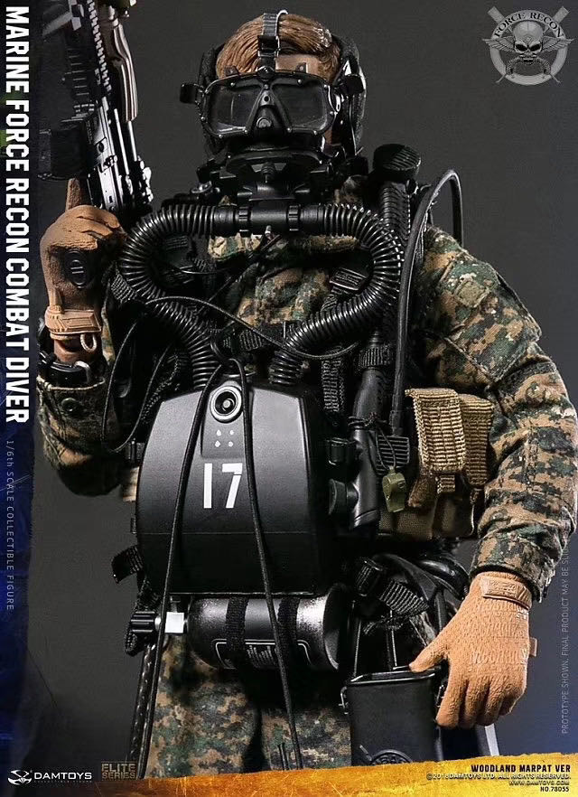 零元拍：DAMTOYS 78055 USMC 美国陆战队 武力侦察 Force Recon 战斗潜水员