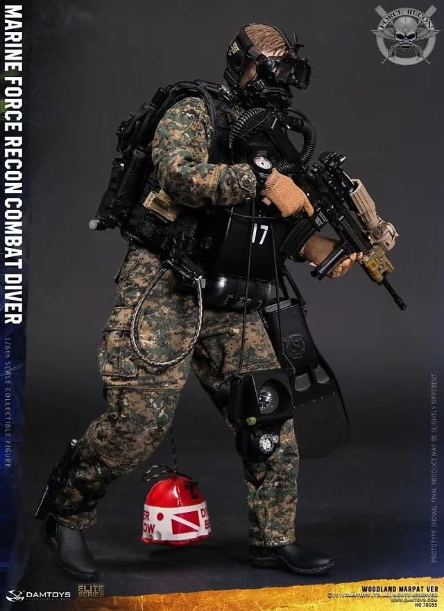 零元拍：DAMTOYS 78055 USMC 美国陆战队 武力侦察 Force Recon 战斗潜水员
