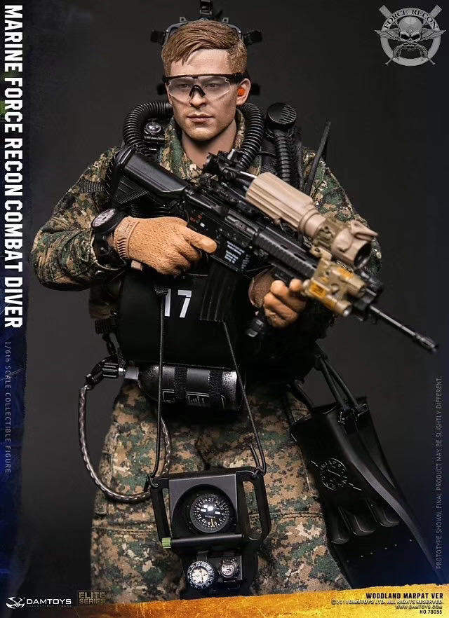 零元拍：DAMTOYS 78055 USMC 美国陆战队 武力侦察 Force Recon 战斗潜水员