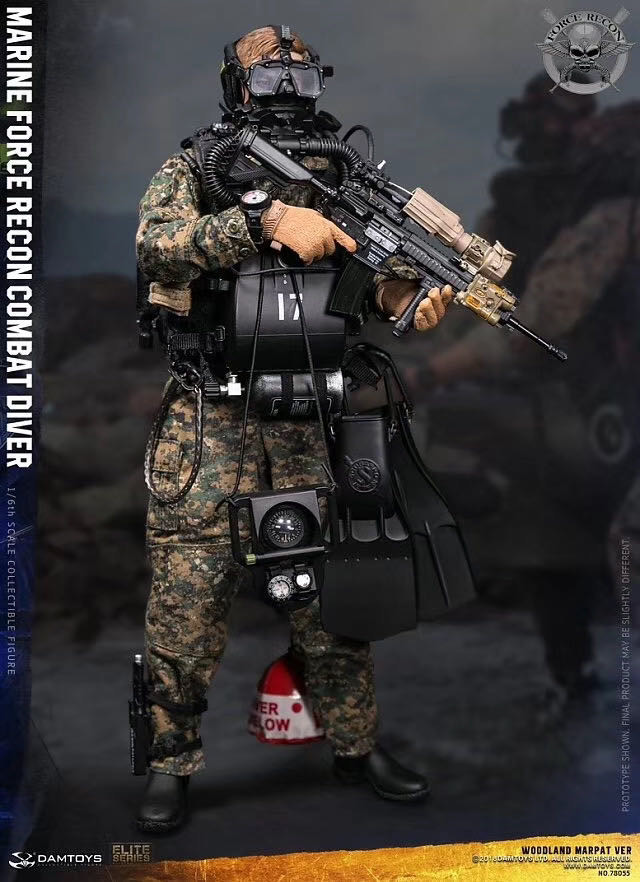 零元拍：DAMTOYS 78055 USMC 美国陆战队 武力侦察 Force Recon 战斗潜水员