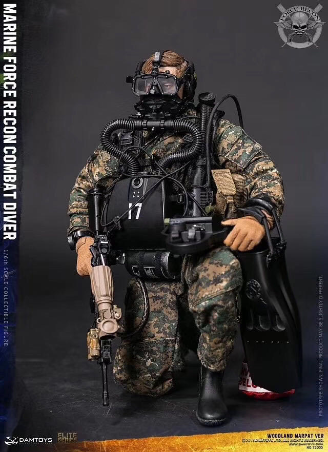 零元拍：DAMTOYS 78055 USMC 美国陆战队 武力侦察 Force Recon 战斗潜水员