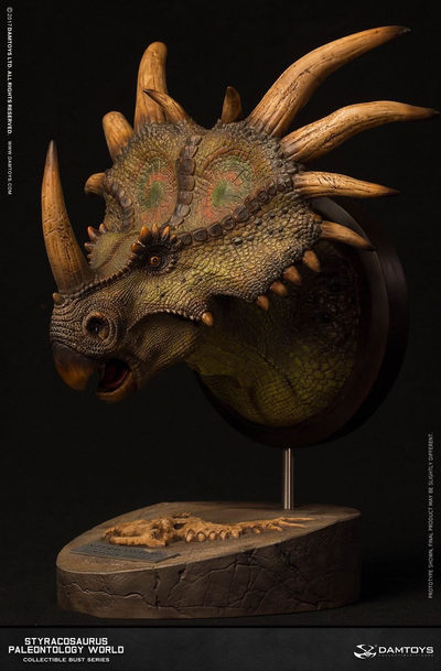 零元拍：DAMTOYS 博物馆系列 - 戟龙/Stracosaurus 头部雕像 收藏级雕像（MUS004 A - 零元拍：DAMTOYS 博物馆系列 - 戟龙/Stracosaurus 头部雕像 收藏级雕像（MUS004 A