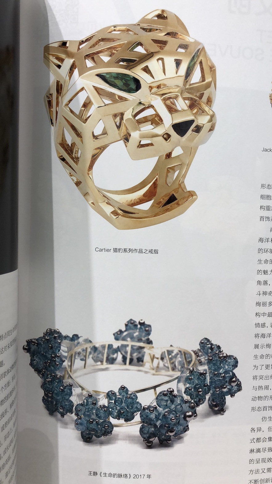 麦朵尔书籍 艺术市场刊