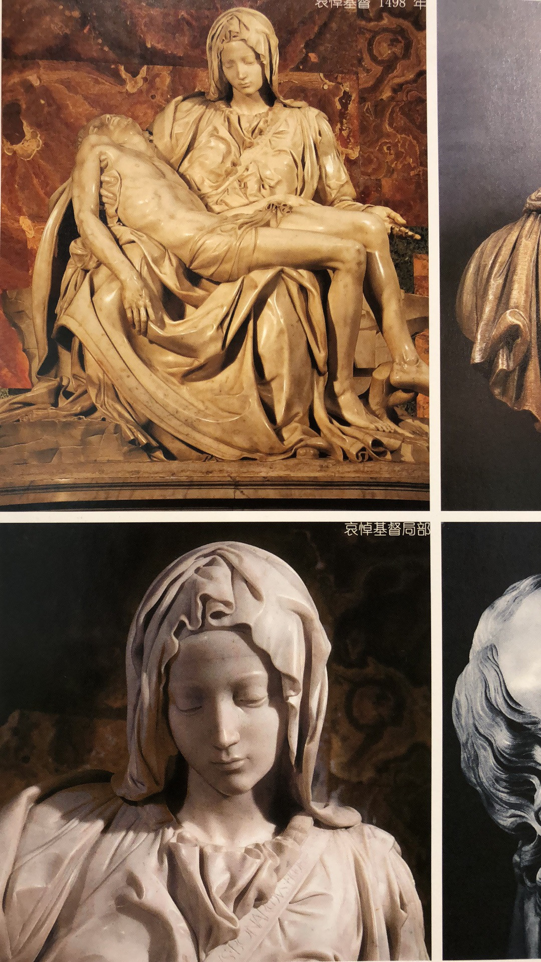 麦朵尔书籍 西方近现代艺术