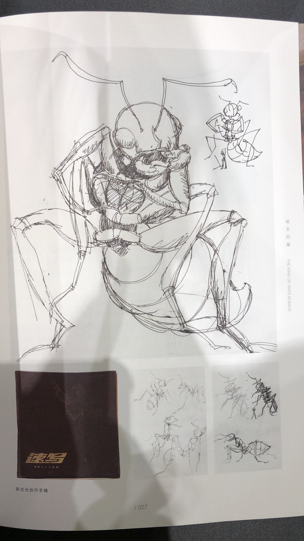 麦朵尔书籍 蚁王归巢