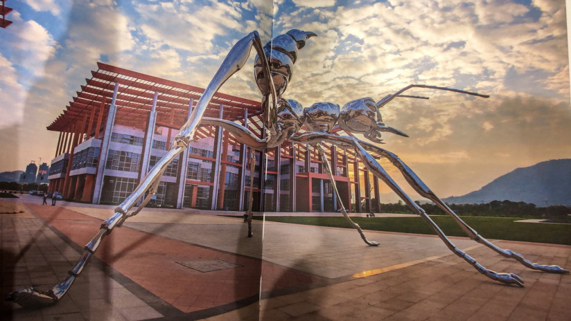 麦朵尔书籍 蚁王归巢