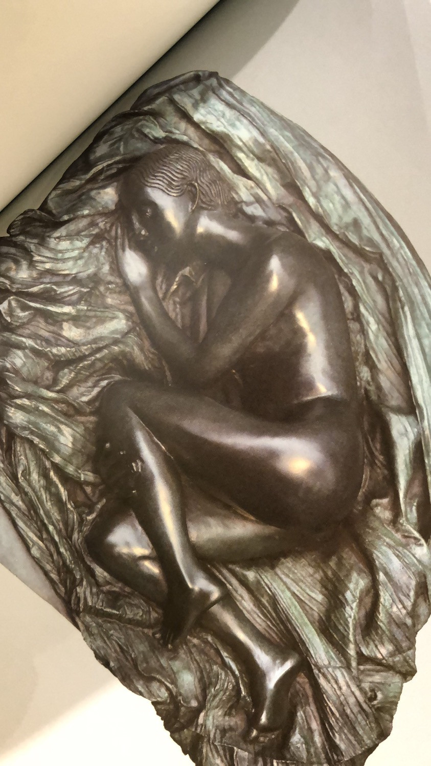 麦朵尔书籍 由南向北联合作品籍