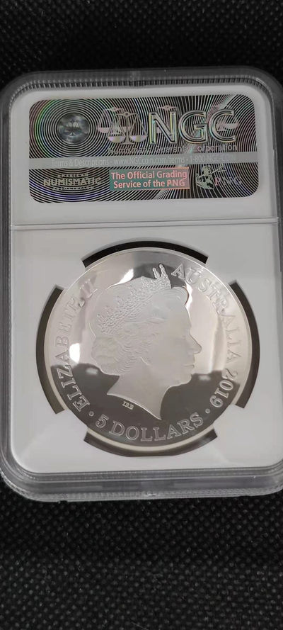 【随心拍&Getcoins】钱币拍卖第八十三期～ 2019年地图弧形银币