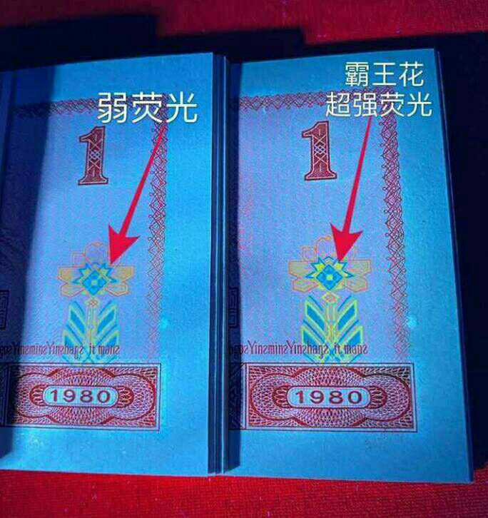 珍品收藏(系统自动拍卖) FQ稀冠中国龙标十，强红霸王花，也叫中国龙红幽灵。