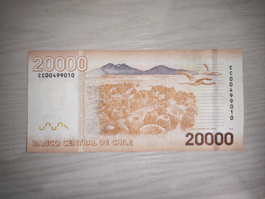 国内外纸币 全新UNC智利20000比索一张，双冠