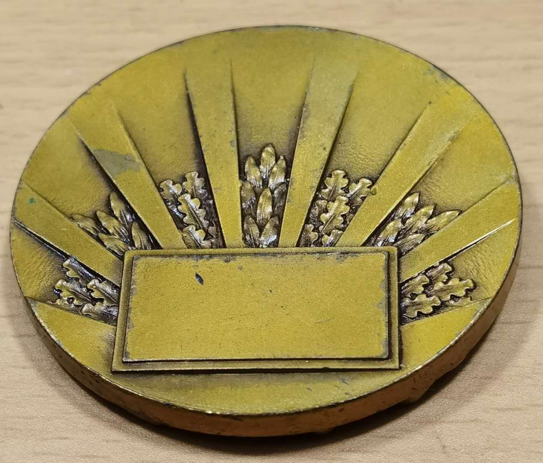 北京马甸外币专卖微拍第四十七期，外国纪念章专场，陆续上新，欢迎关注 法国体育纪念章，直径：50mm，重量：61克，品相如图
