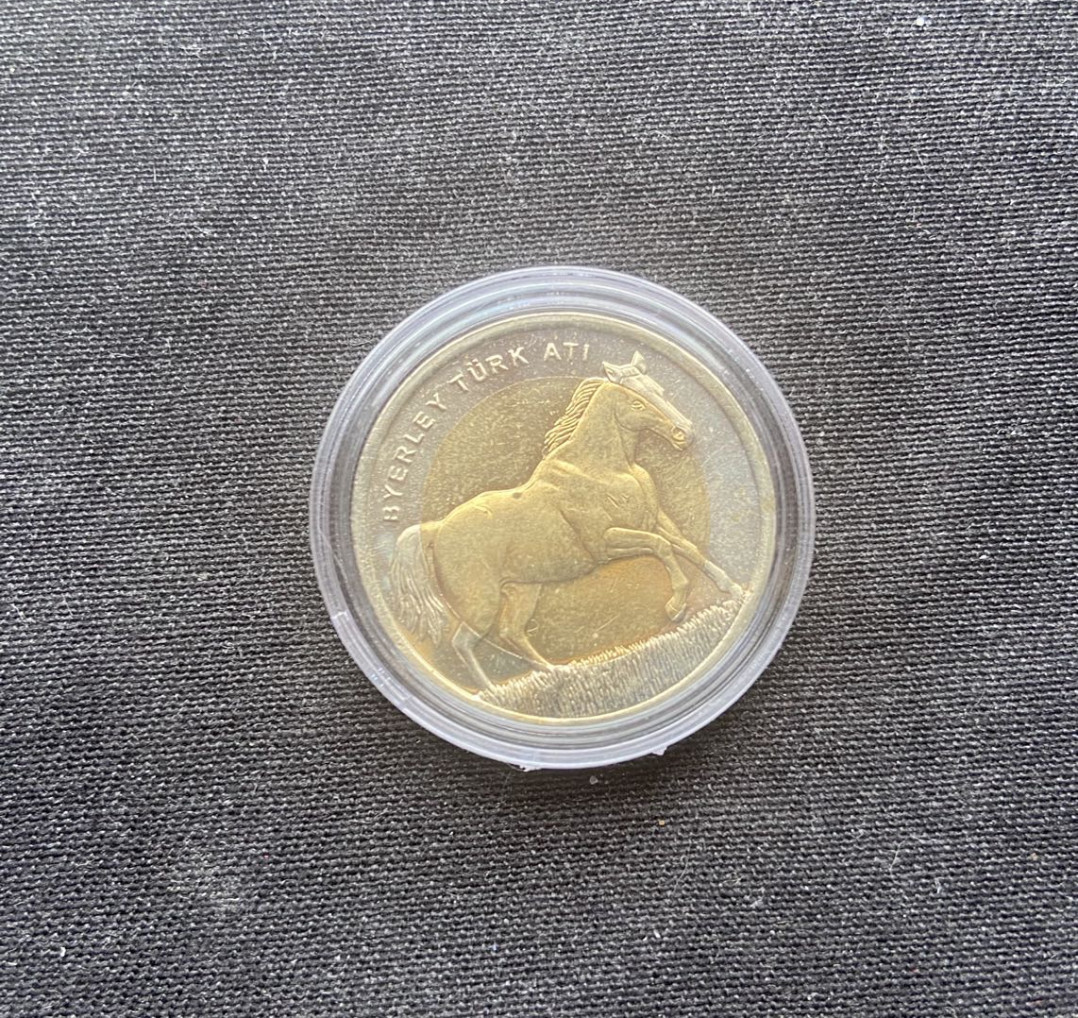 【币观天下】第141期钱币拍卖  【土耳其】双色流通币-马