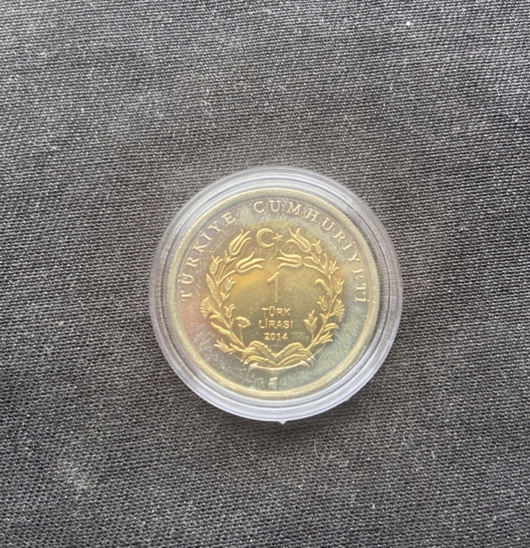 【币观天下】第141期钱币拍卖  【土耳其】双色流通币-马