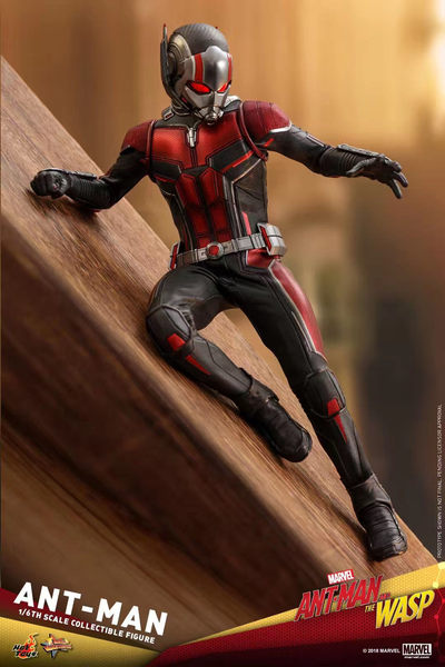 零元拍：Hot Toys MMS497 Ant-Man and the Wasp – 1/6《黄蜂女现身》蚁人  - 零元拍：Hot Toys MMS497 Ant-Man and the Wasp – 1/6《黄蜂女现身》蚁人 