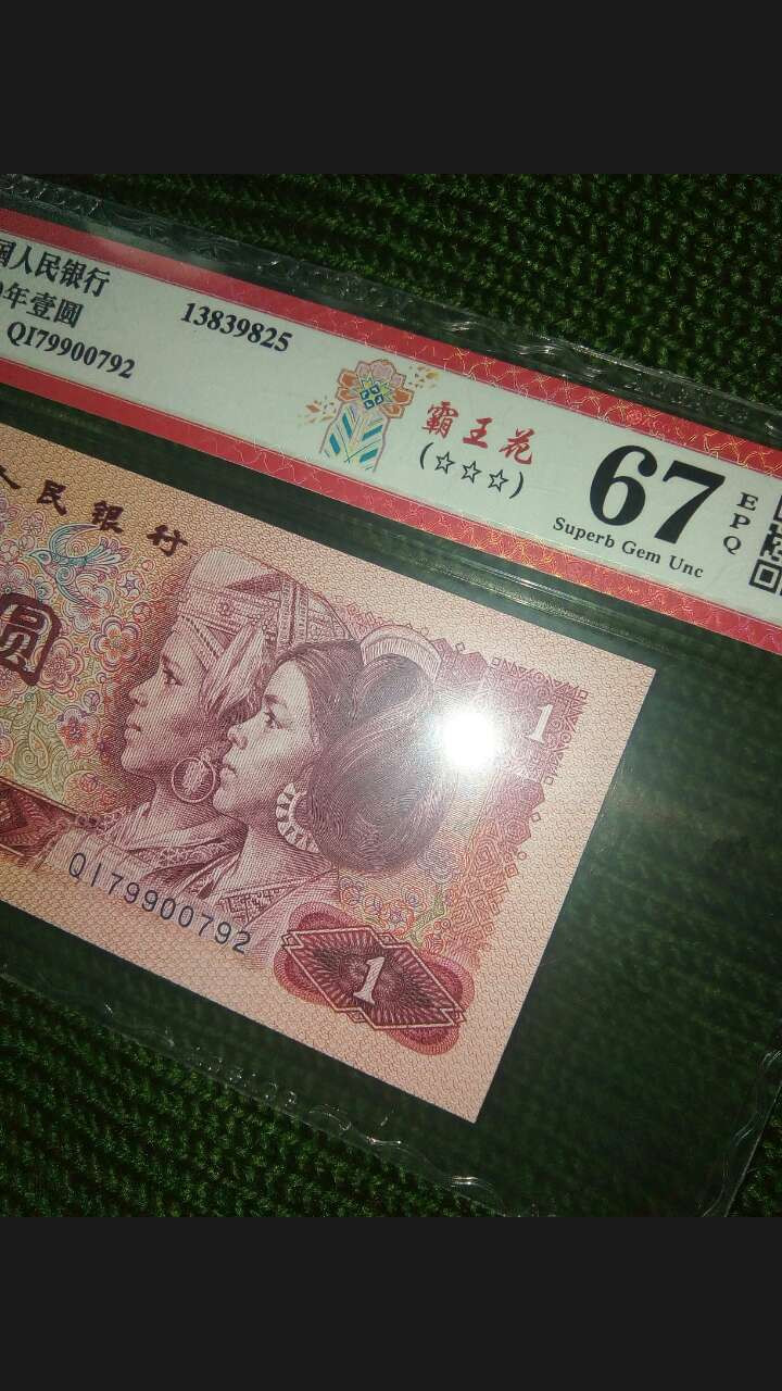 珍品收藏(系统自动拍卖) 801强荧光霸王花超靓号。