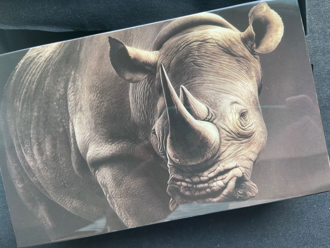 【币观天下】第142期钱币拍卖 【南非】非洲5霸之犀牛套装【2枚装】