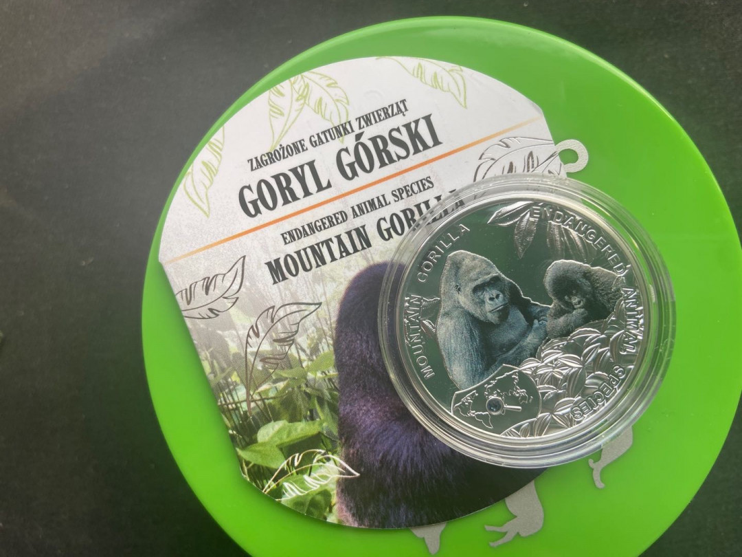 【币观天下】第142期钱币拍卖 纽埃2014年黑猩猩银币【盒证齐全】