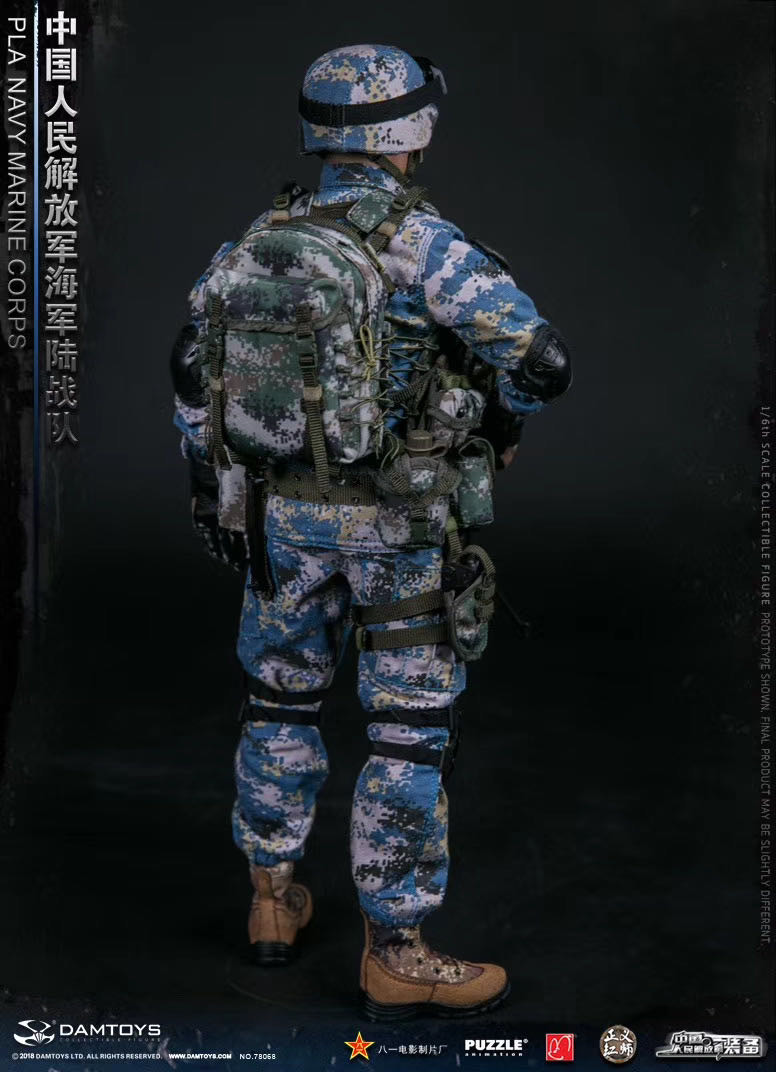 零元拍：DAMTOYS 78068 1/6 中国人民解放军海军陆战队