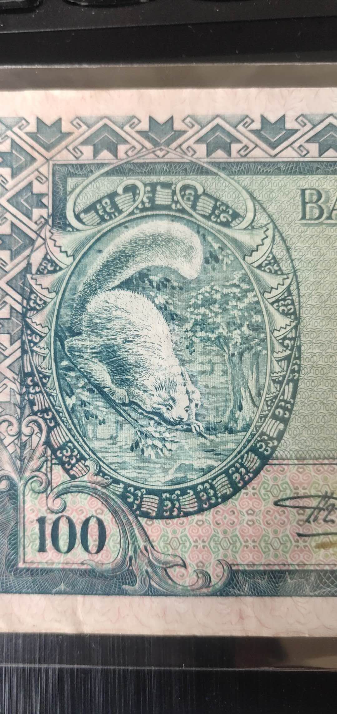 N&C第十一期: 欢乐捡漏场 1957年印度尼西亚100卢比 正面可爱的小动物，背面富有意境的建筑景观 稀少品种 八品如图