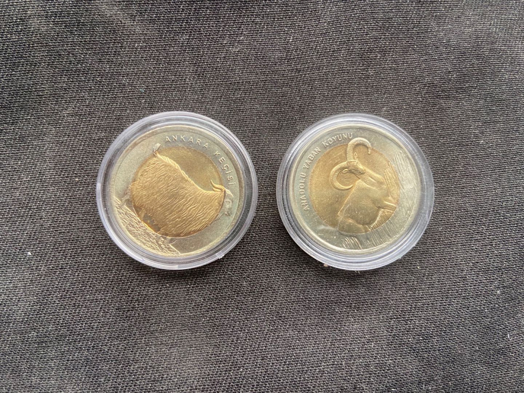 【币观天下】第143期钱币拍卖～ 【土耳其】双色币【不同羊】