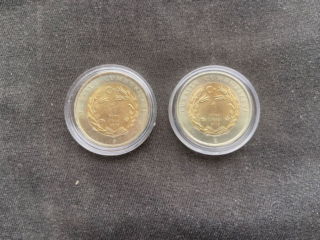 【币观天下】第143期钱币拍卖～ 【土耳其】双色币【不同羊】