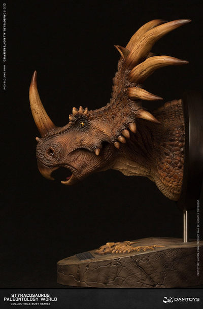 零元拍：DAMTOYS 博物馆系列 - 戟龙/Stracosaurus 头部雕像 收藏级雕像（MUS004 A - 零元拍：DAMTOYS 博物馆系列 - 戟龙/Stracosaurus 头部雕像 收藏级雕像（MUS004 A