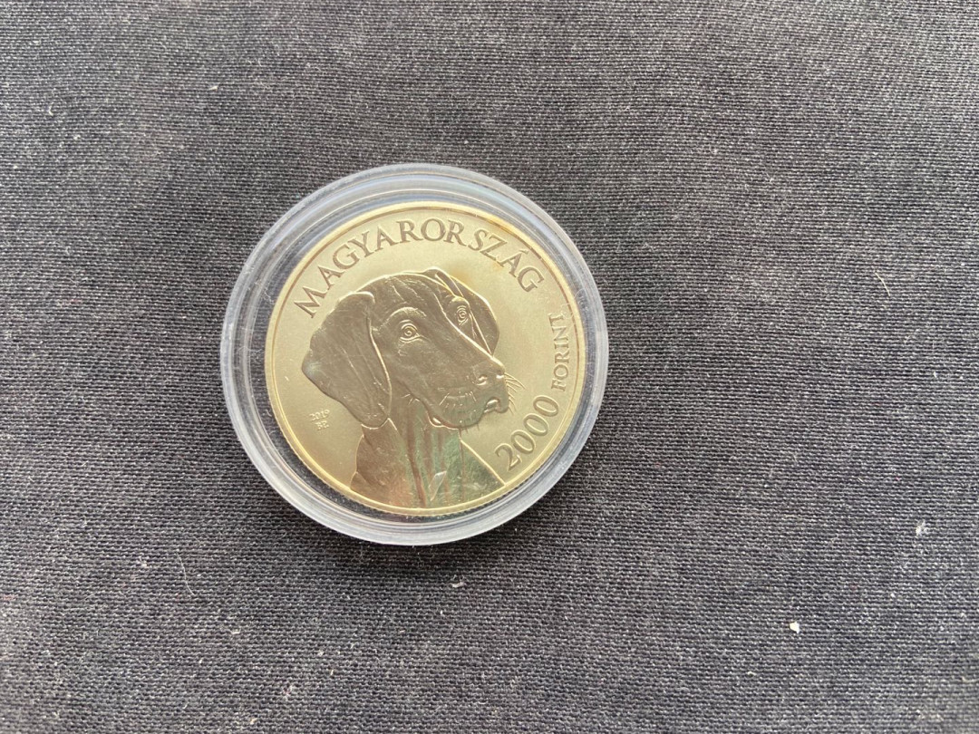 【币观天下】第144场拍卖 【匈牙利】维斯拉猎犬【系列第一枚】