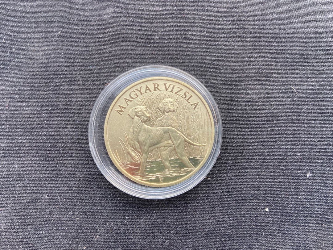 【币观天下】第144场拍卖 【匈牙利】维斯拉猎犬【系列第一枚】