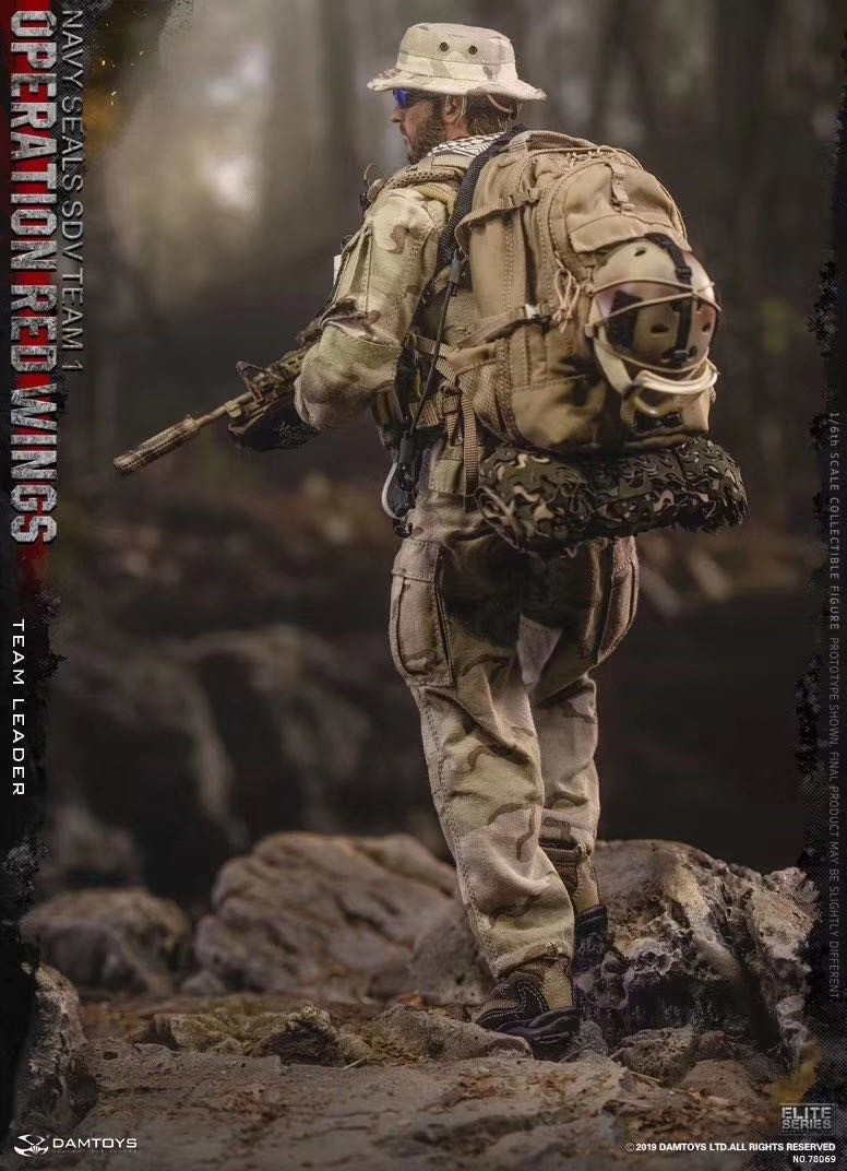 零元拍：DAMTOYS 1/6 78069 红翼行动海豹特种部队第一运输载具大队 队长全新未拆。