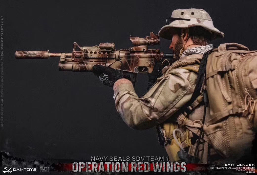 零元拍：DAMTOYS 1/6 78069 红翼行动海豹特种部队第一运输载具大队 队长全新未拆。