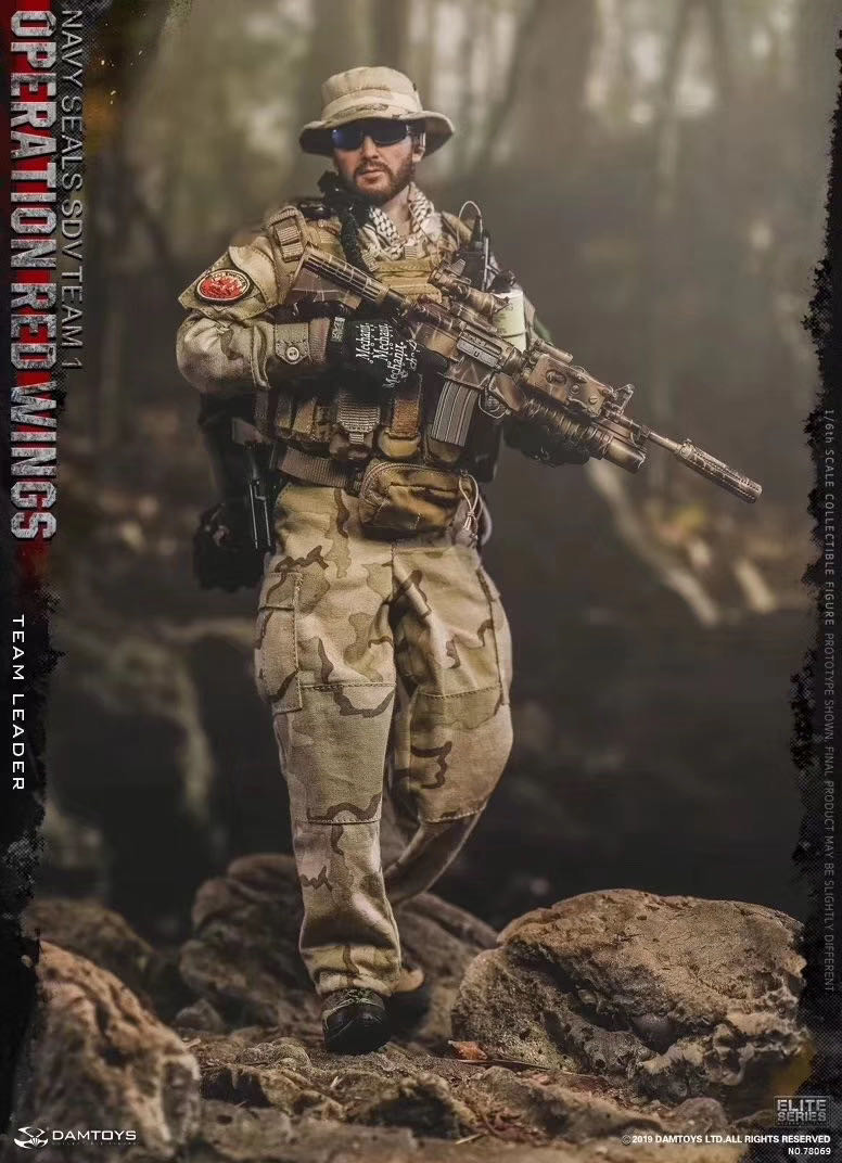零元拍：DAMTOYS 1/6 78069 红翼行动海豹特种部队第一运输载具大队 队长全新未拆。