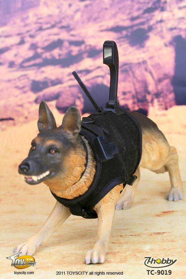 零元拍：ToysCity  美军联合特种作战司令部/JSOC 第一梯队- 猎杀本拉登行动 9019配件军犬