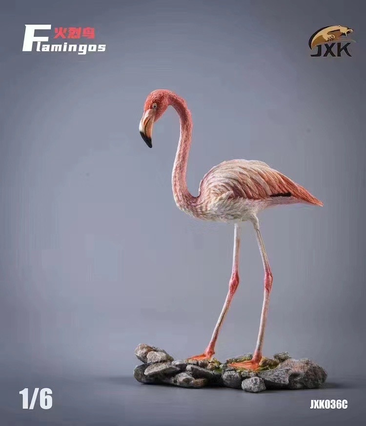 零元拍：JXK 1/6 火烈鸟 JXK036C静态动物摆件模型