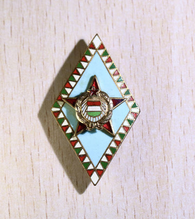 大猫徽章第156期 - 匈牙利高等军校校徽，早期铜质珐琅狼牙旗