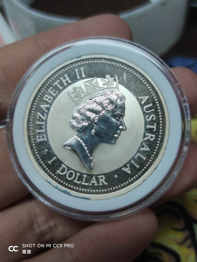 燕姐换藏第四十一场 1996年翠鸟银币镶嵌小金币