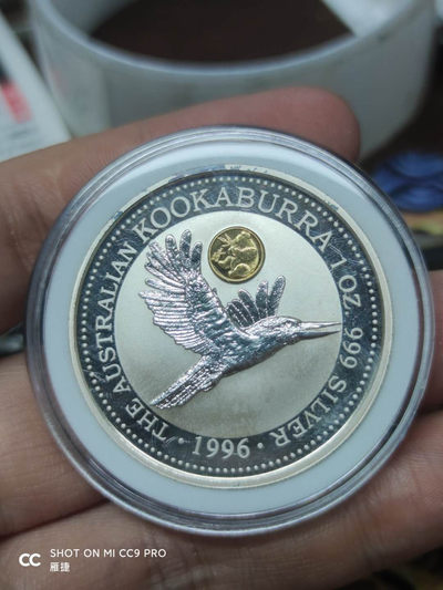 燕姐换藏第四十一场 1996年翠鸟银币镶嵌小金币