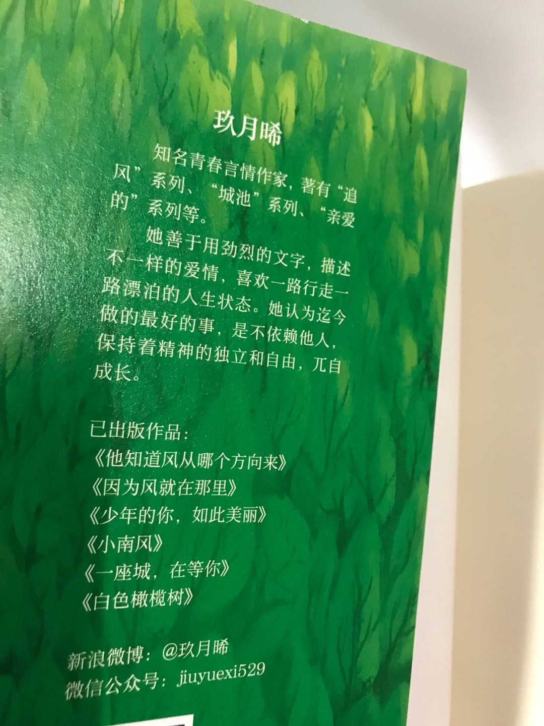 零元拍：言情作家玖月晞亲笔签名著书《南江十七夏》上下册- 北京八脚模型- 北京八脚模型- 麦稀奇