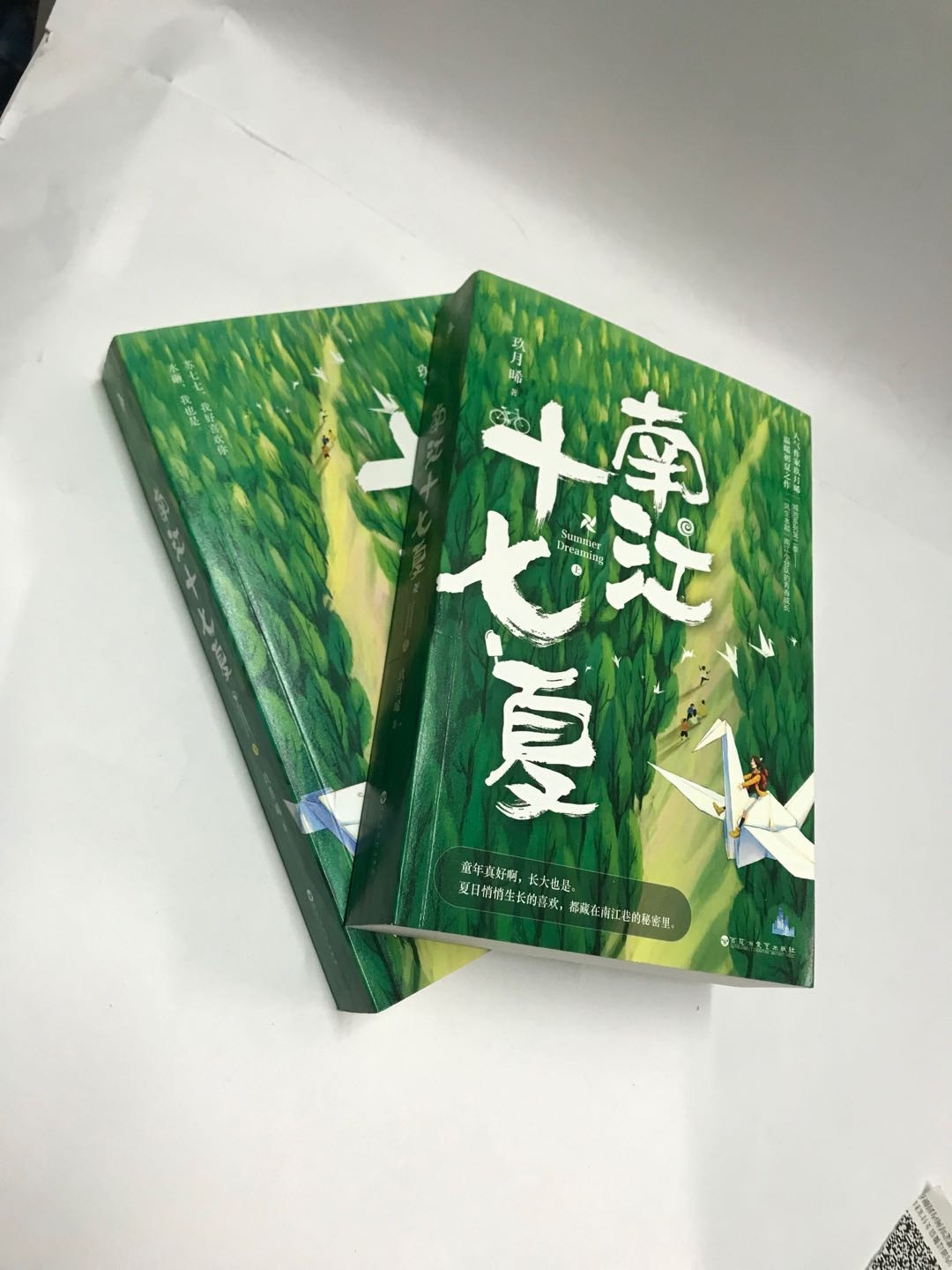 零元拍：言情作家 玖月晞 亲笔签名著书《南江十七夏》上下册