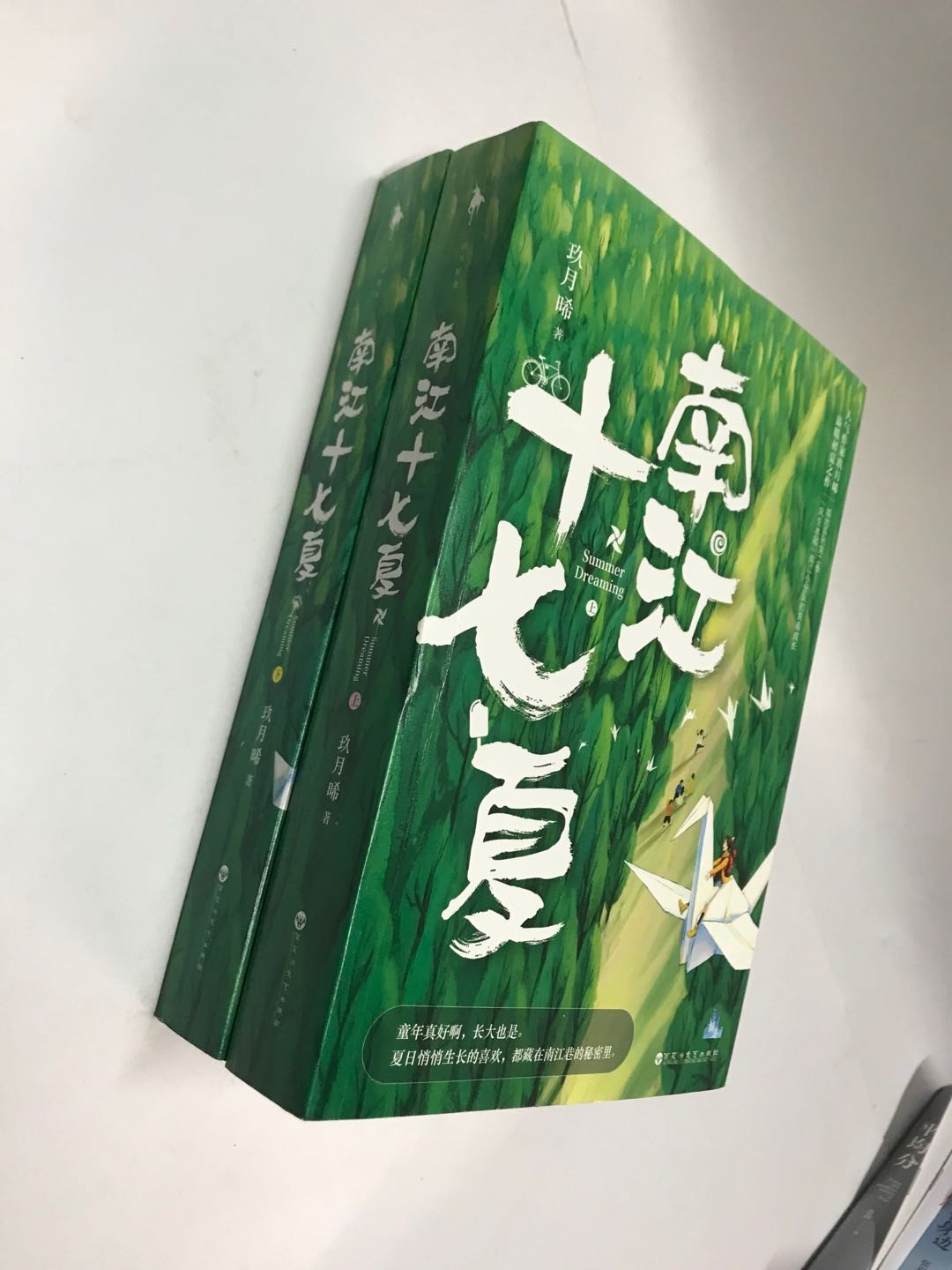 零元拍：言情作家 玖月晞 亲笔签名著书《南江十七夏》上下册