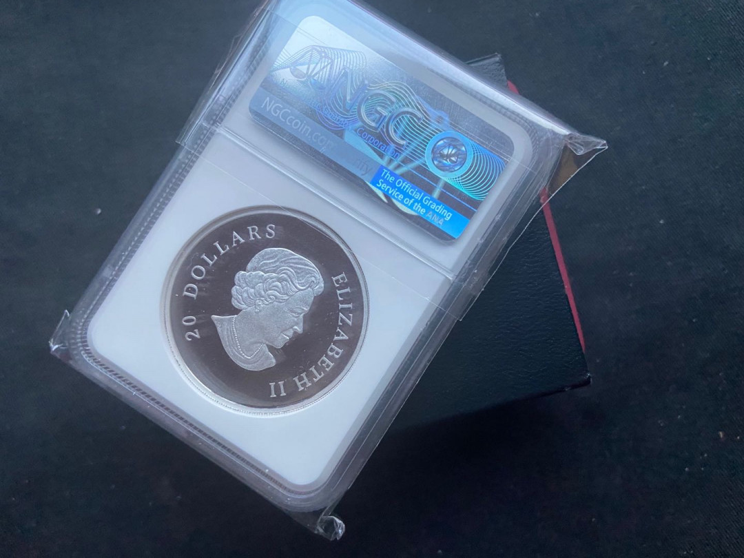 【币观天下】第146期钱币拍卖 【加拿大】2009年雪花镶嵌宝石银币