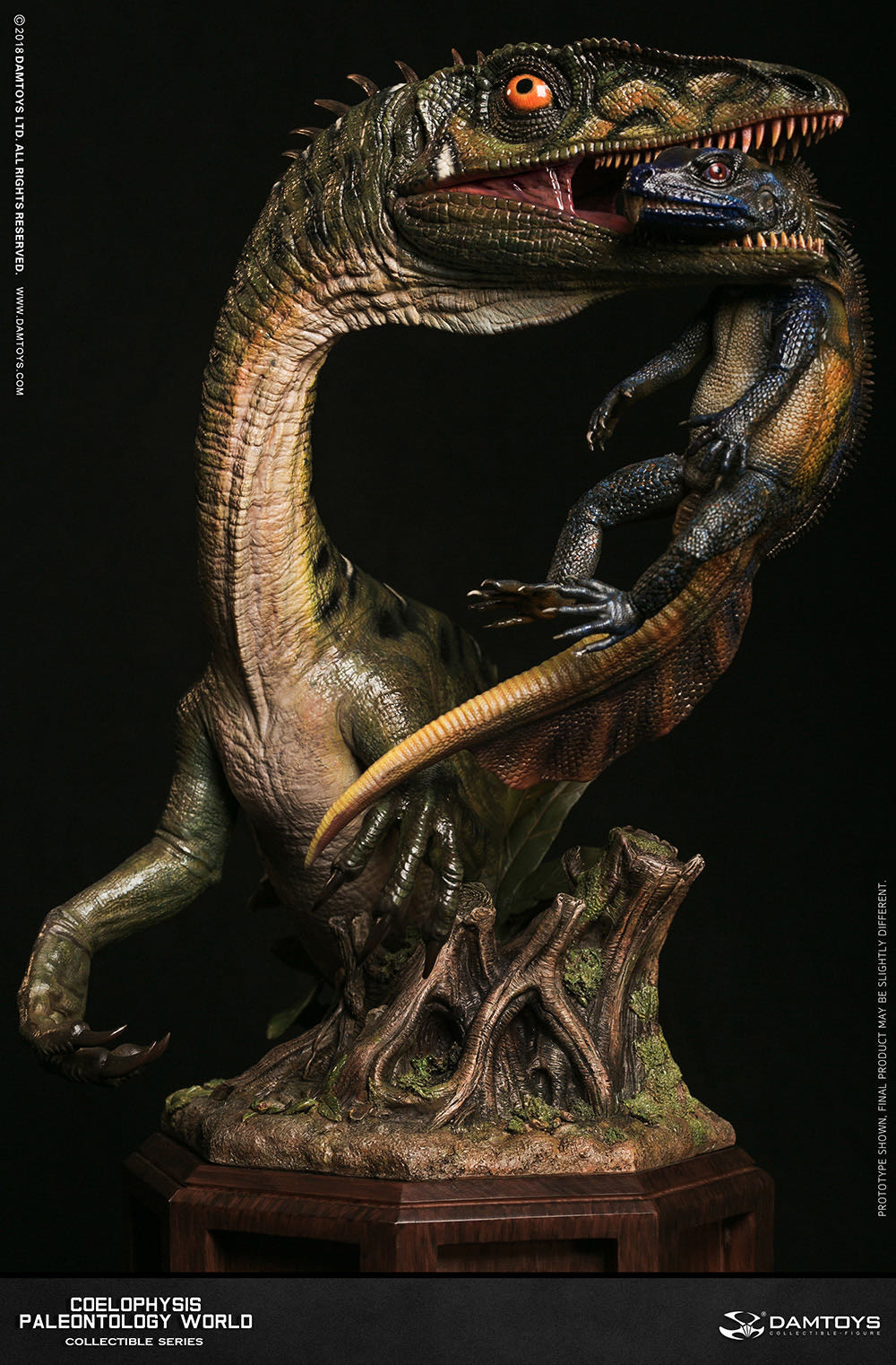 零元拍：DAMTOYS ：博物馆系列 - Coelophysis/腔骨龙 收藏级雕像