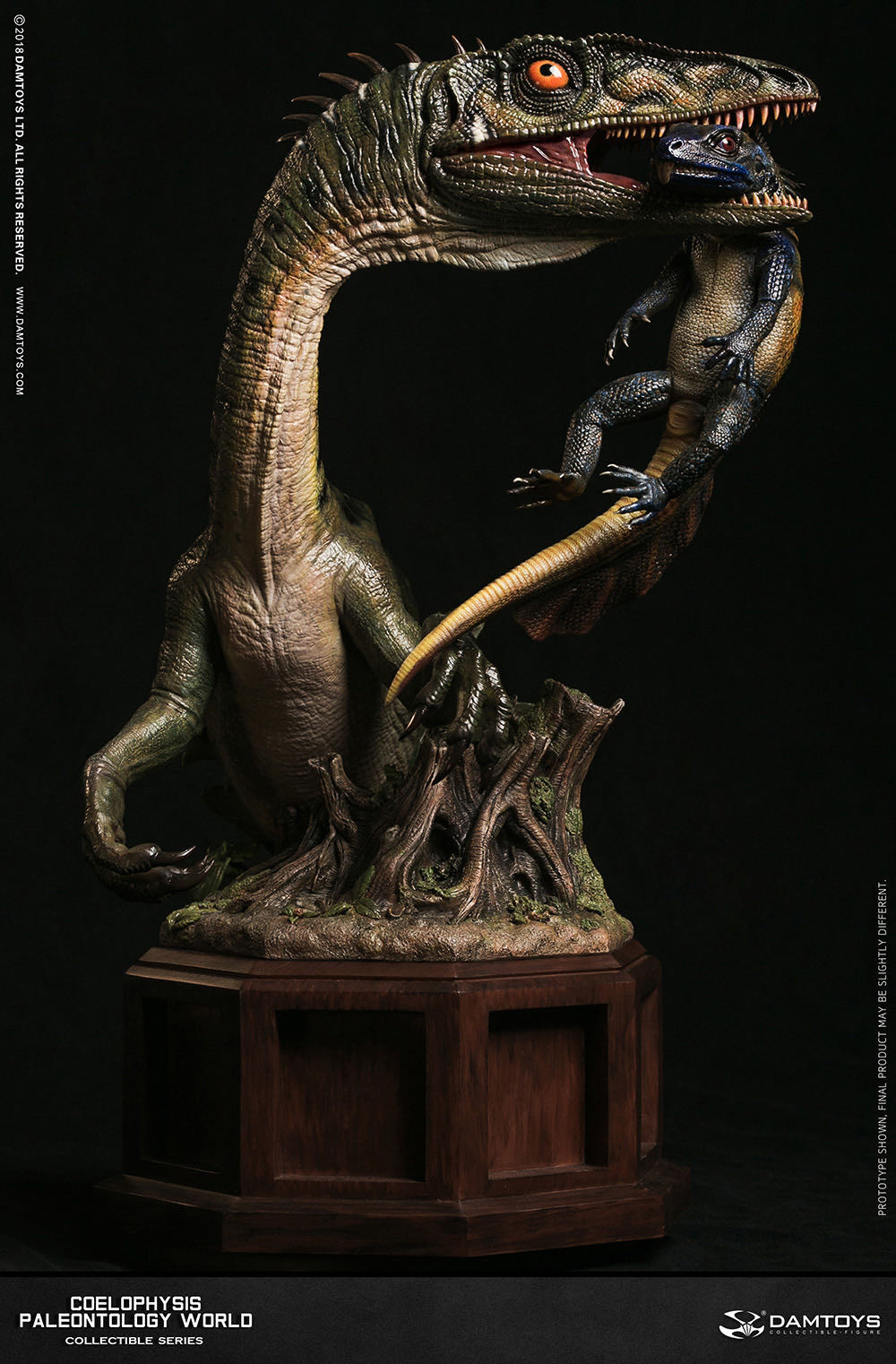 零元拍：DAMTOYS ：博物馆系列 - Coelophysis/腔骨龙 收藏级雕像